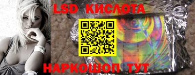 гидропоника Краснознаменск
