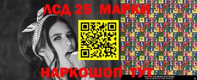 гидропоника Краснознаменск