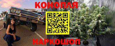 крисы Краснокаменск