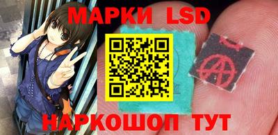 гидропоника Краснознаменск
