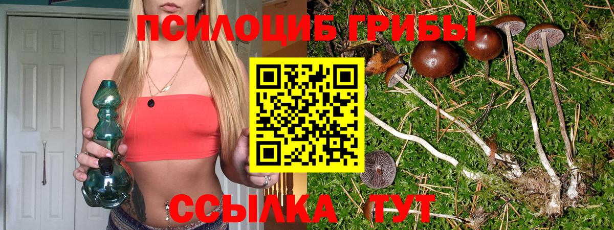 Гусь-Хрустальный  Галлюциногенные грибы мицелий  цены   Вход с VPN 