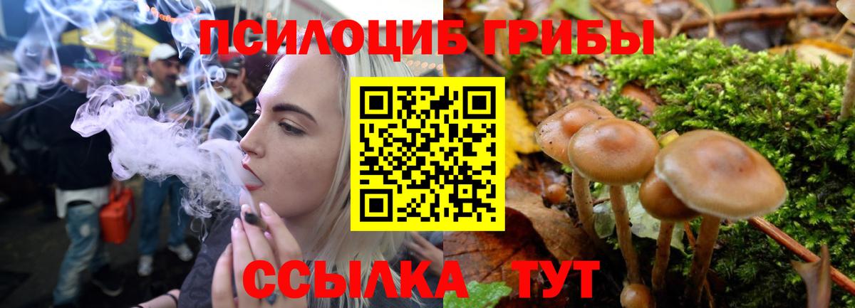 Галлюциногенные грибы Гусь-Хрустальный